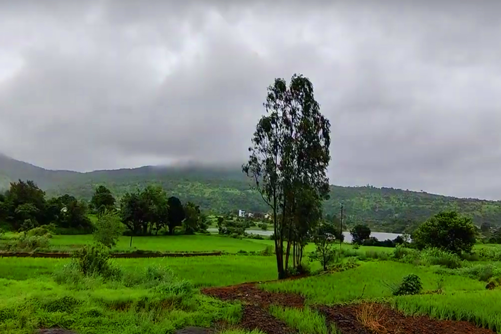 Properties for Sale in Pawna Dam