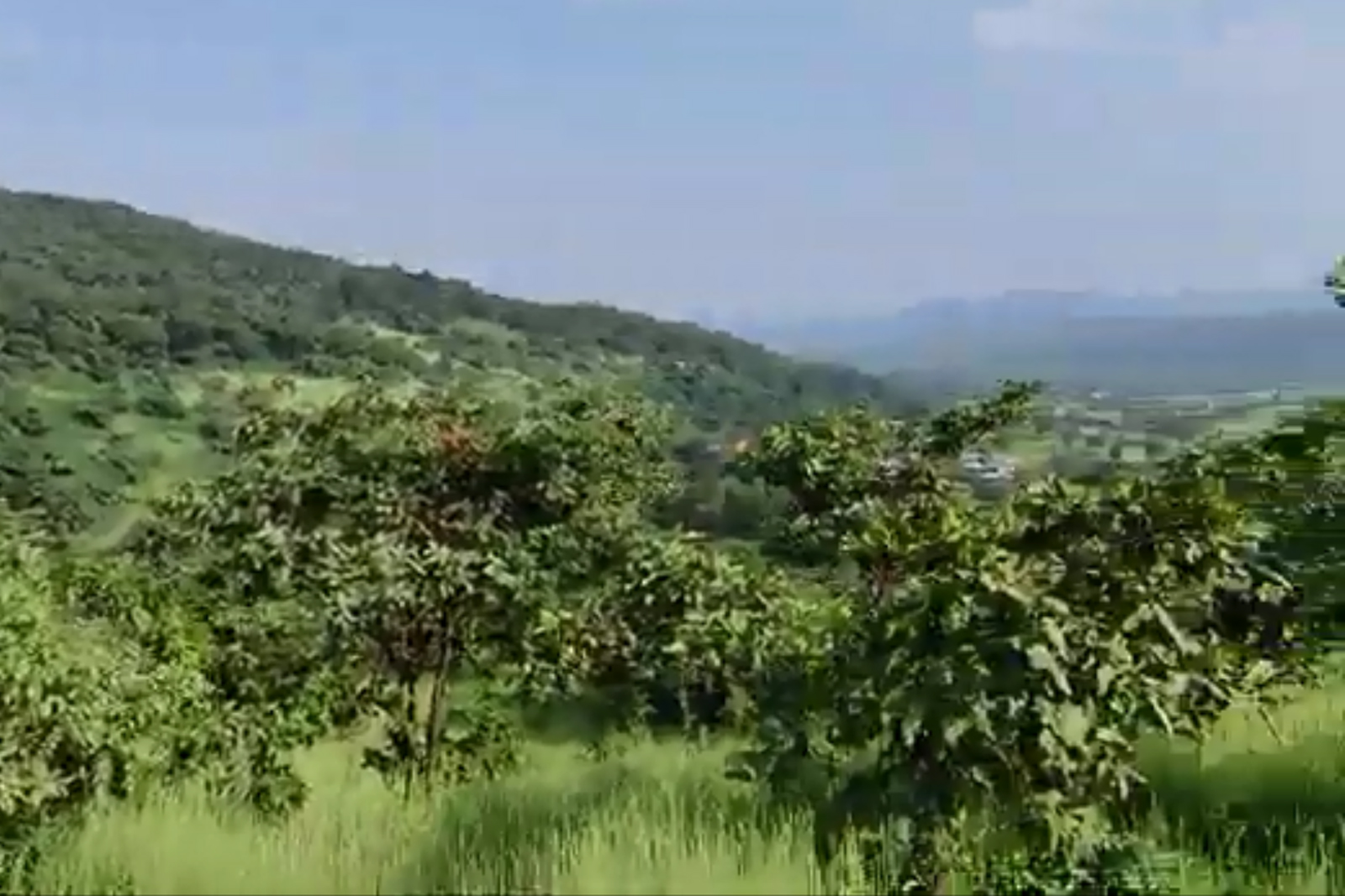properties in pawna